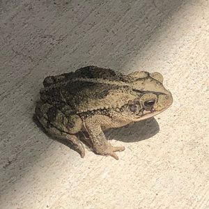 Meet your Posher, Avery